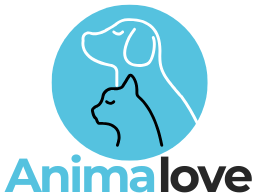 Animalove.pt