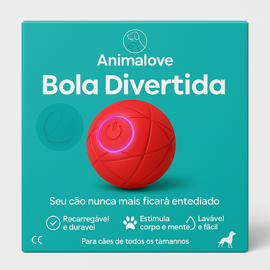 Bolinha Interativo