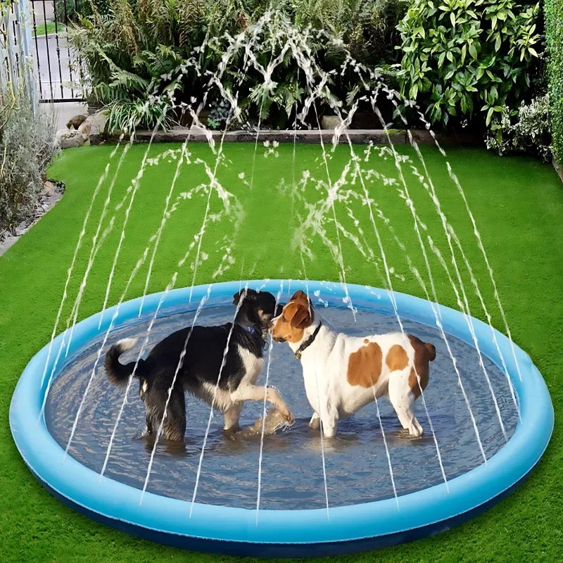 SplashDog & Kids™